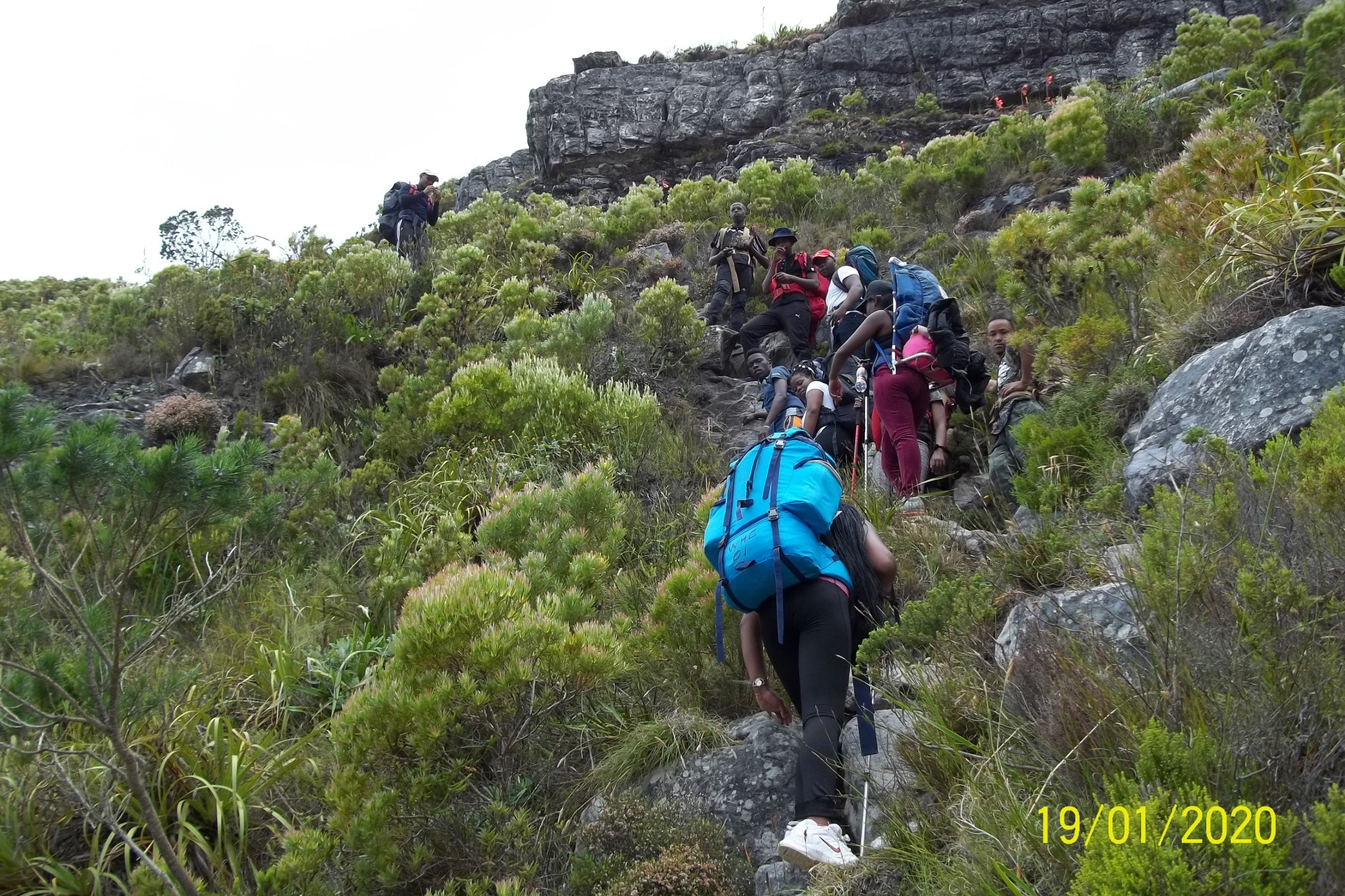 constantia-corner-1